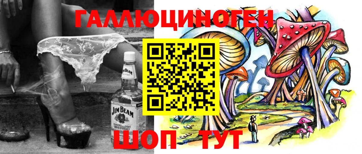 Псилоцибиновые грибы Psilocybine cubensis Березники