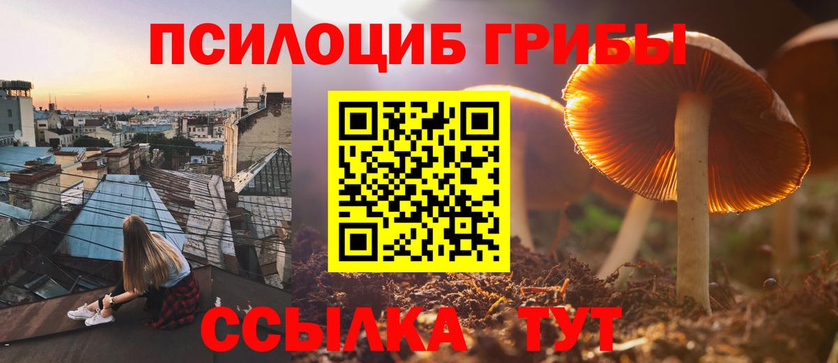 Псилоцибиновые грибы Cubensis  Галлюциногенные грибы Cubensis  Березники  Вход с VPN 