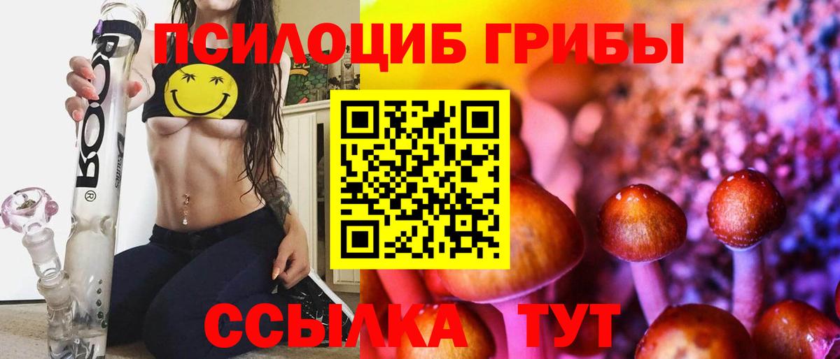 Галлюциногенные грибы Cubensis  Галлюциногенные грибы GOLDEN TEACHER  Березники 